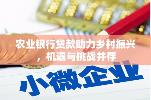 甘德农业银行贷款助力乡村振兴，机遇与挑战并存