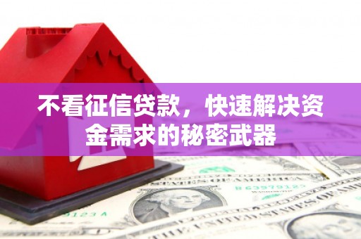 甘德不看征信贷款，快速解决资金需求的秘密武器
