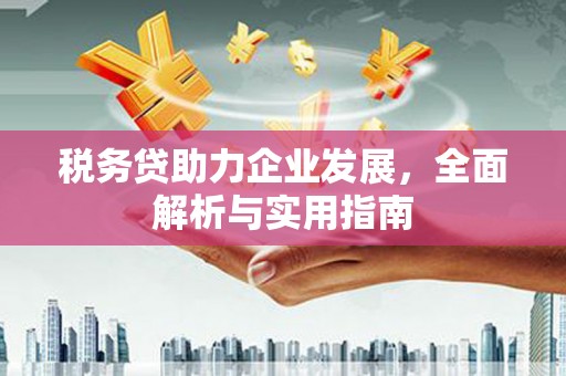 甘德税务贷助力企业发展，全面解析与实用指南