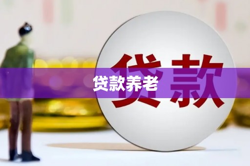 甘德贷款养老