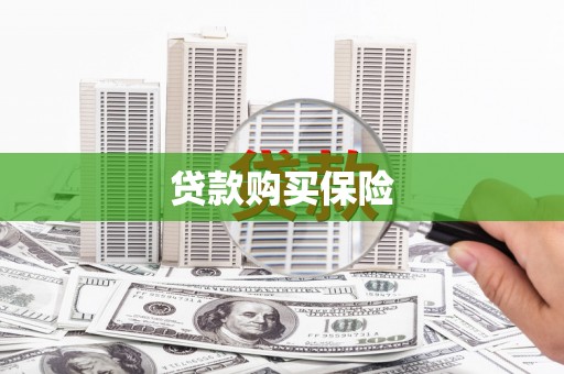 甘德贷款购买保险