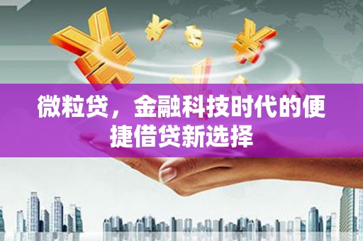 甘德微粒贷，金融科技时代的便捷借贷新选择
