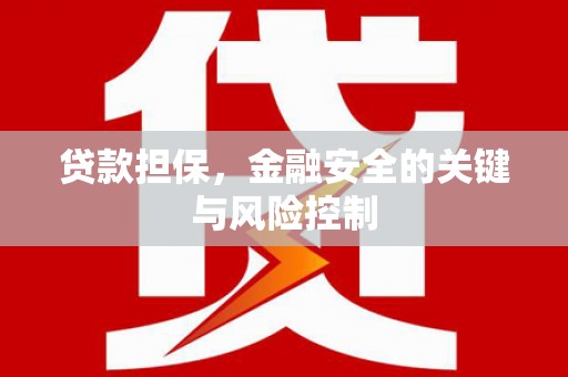 甘德贷款担保，金融安全的关键与风险控制