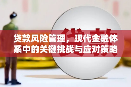 甘德贷款风险管理，现代金融体系中的关键挑战与应对策略
