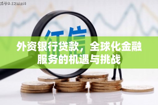 甘德外资银行贷款，全球化金融服务的机遇与挑战