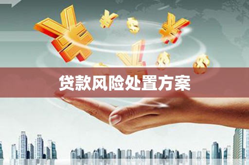 甘德贷款风险处置方案
